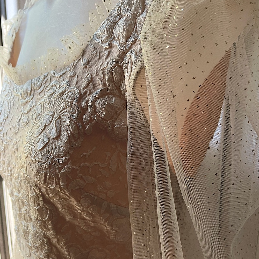 Beautiful Princess style blush color gown with sheer sleeves - Picture 7 of 14